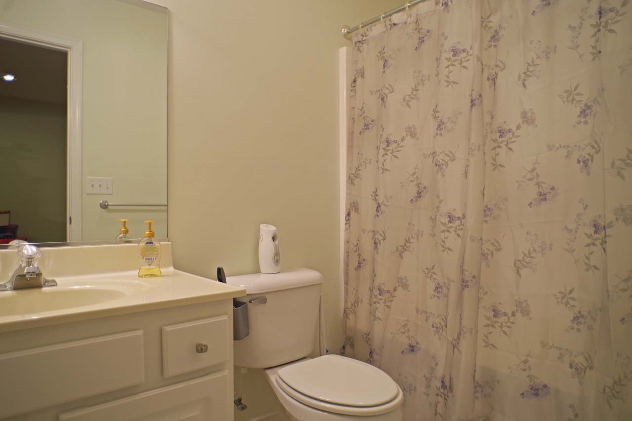 2009 Shepherds Ridge Road Charlottesville, VA 22901 - Photo 39 of 41 a bathroom with a sink a toilet and shower