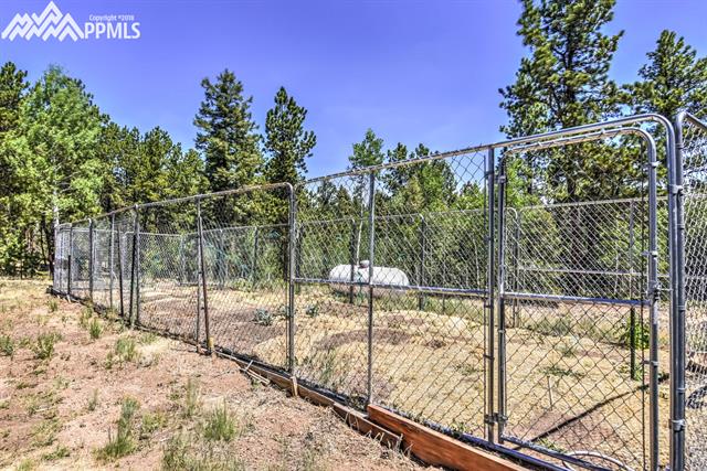 7962 Cedar Mountain Road Divide, CO 80814 - Photo 27 of 33 Gallery Image 27