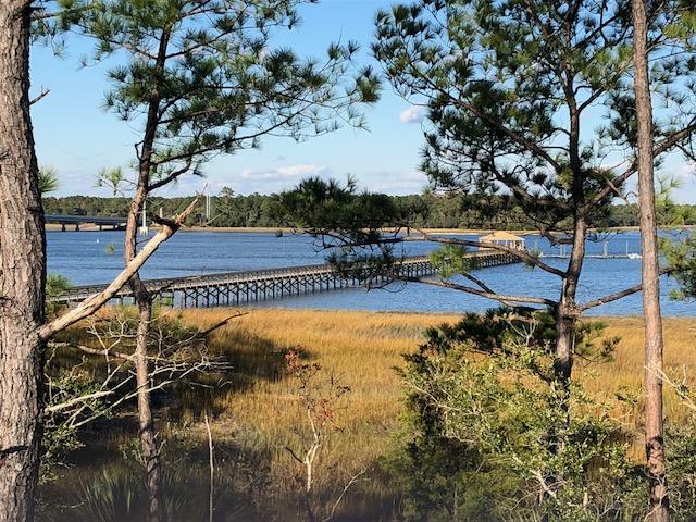 1092 Lyle Way Mount Pleasant, SC 29466 - Photo 20 of 22 Deep Water Dock