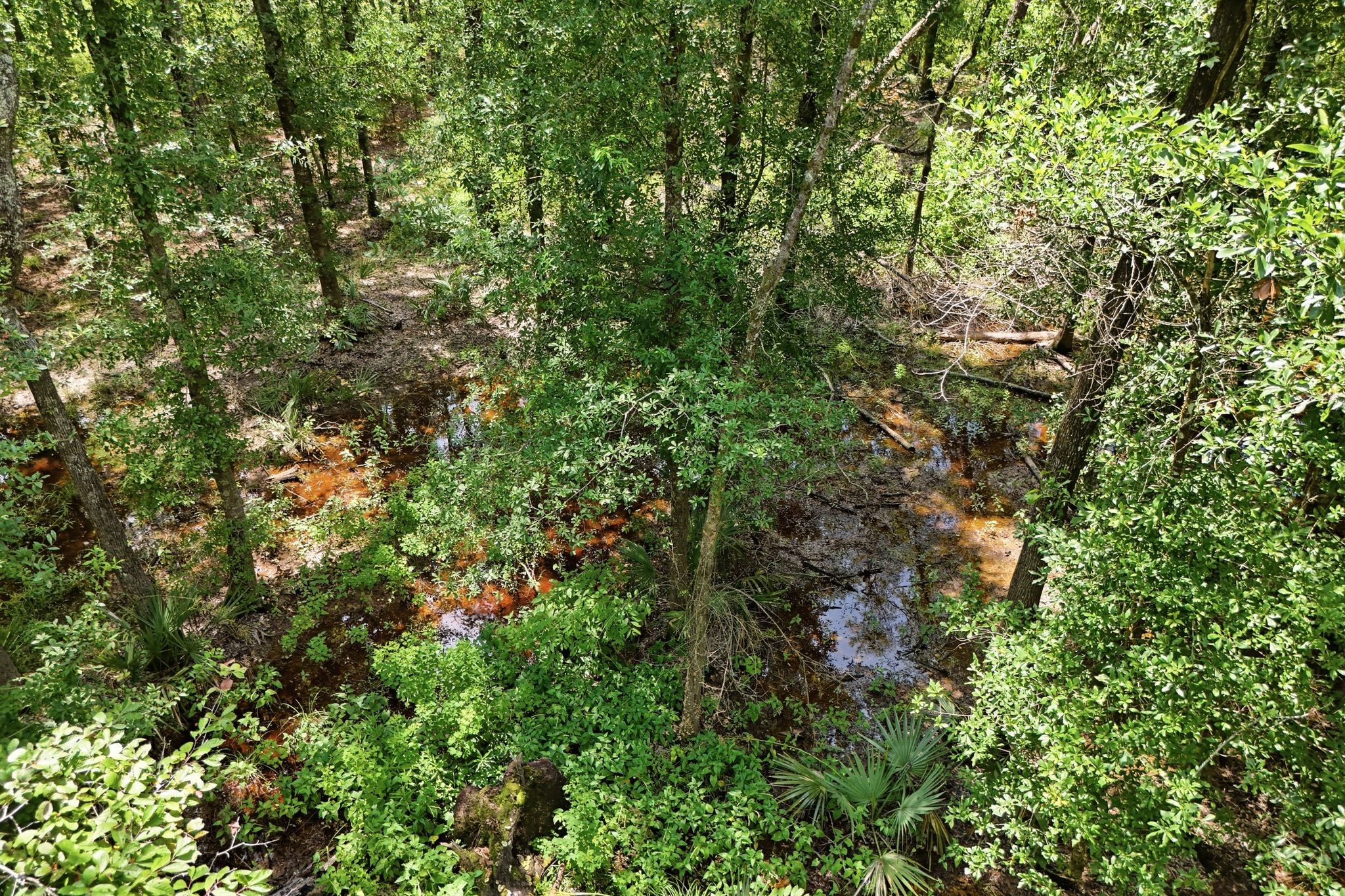 Tbd Coleman Drive Splendora, TX 77372 - Photo 5 of 16