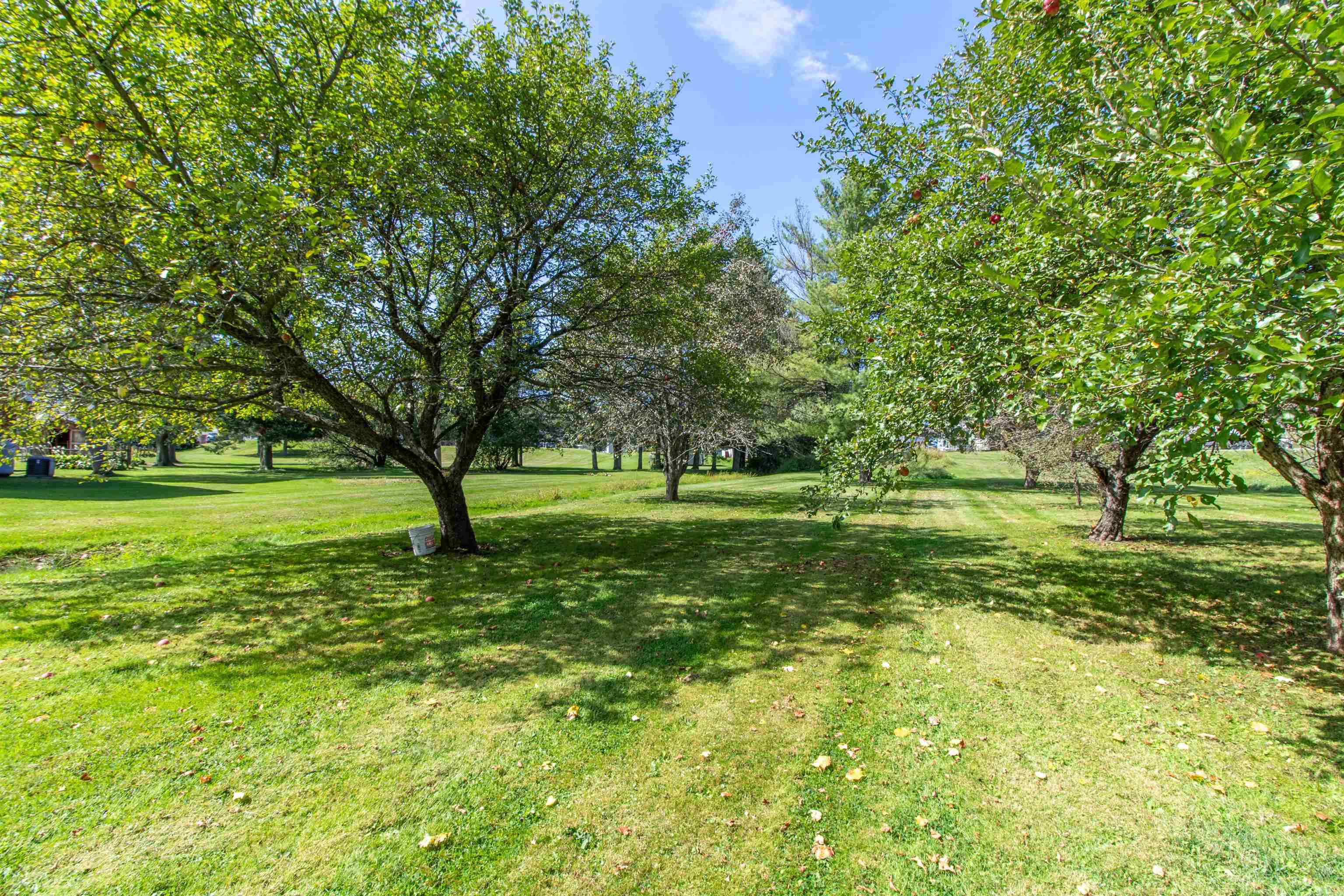 6694 Vermont Rte 100 Troy, VT 05859 - Photo 6 of 53 Gallery Image 6