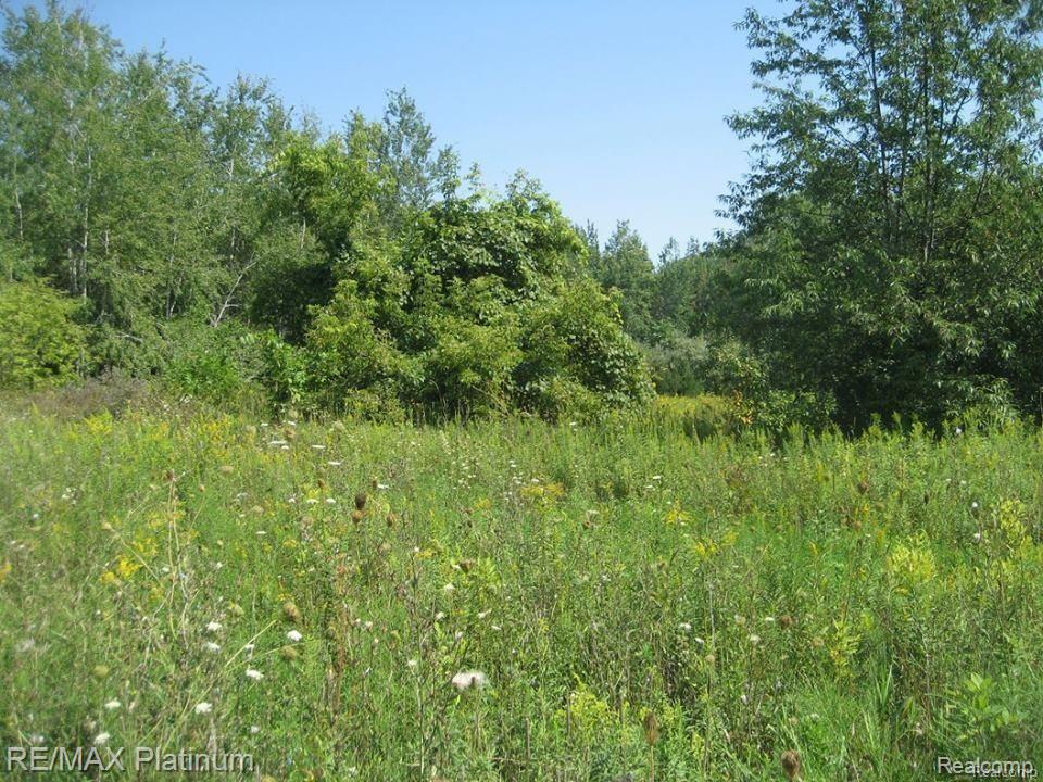 2415 Botsford Road Howell, MI 48855 - Photo 3 of 5