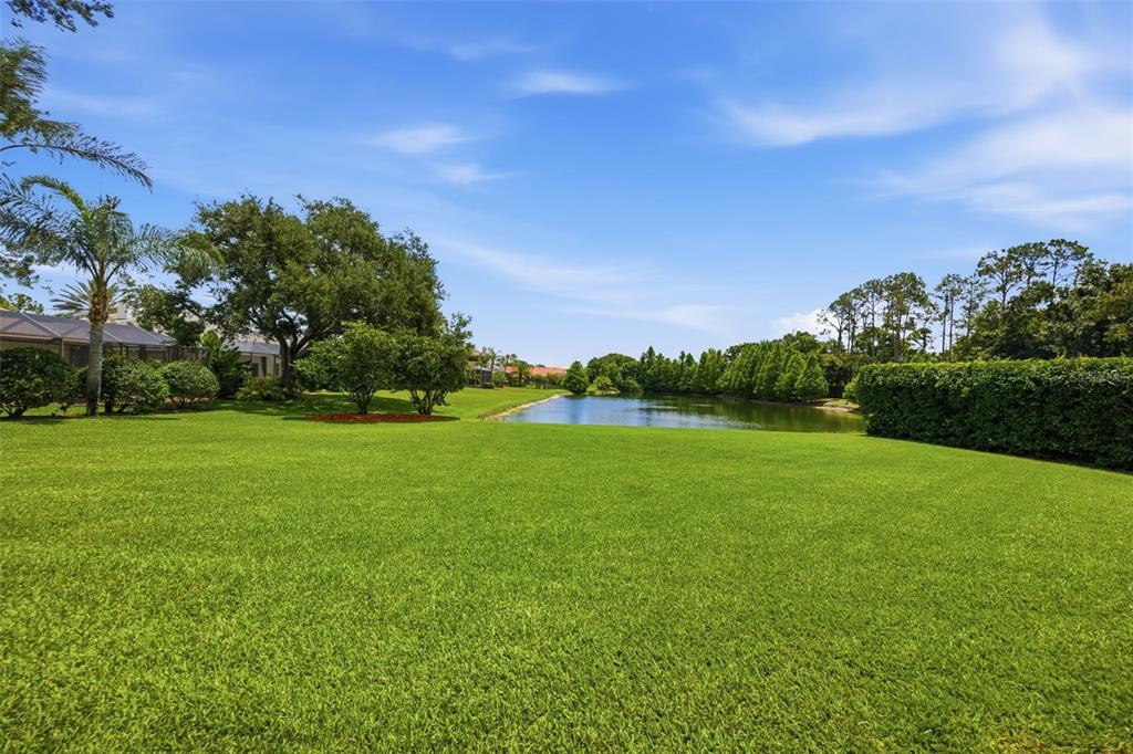 9409 Tree Tops Lake Road Tampa, FL 33626 - Photo 64 of 97