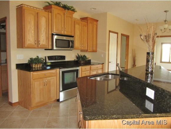 498 Belle Isle Court Springfield, IL 62711 - Photo 8 of 19
