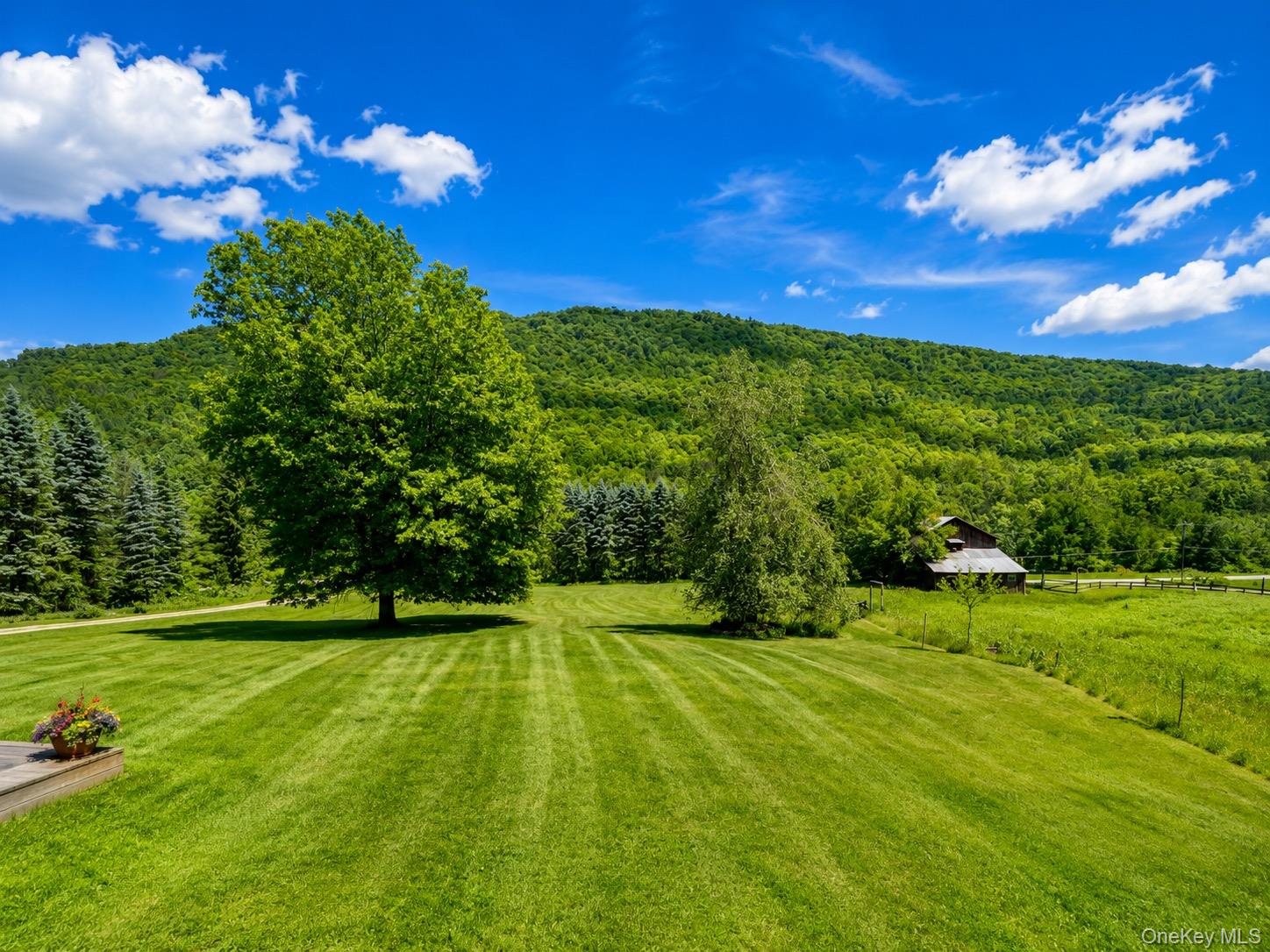 438 Gulf Road Roscoe, NY 12776 - Photo 3 of 29