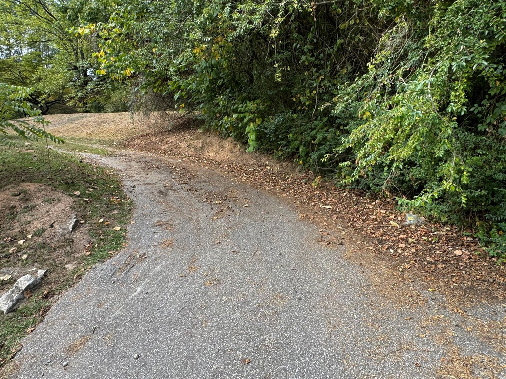 Tbd Cherry Street Murphy, NC 28906 - Photo 5 of 7