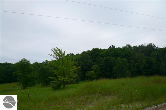 7872 Kellogg Road Northwest Alden, MI 49612 - Photo 22 of 22 1728345-21.JPG