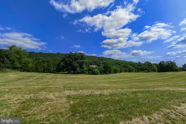 a view of an outdoor space and a yard