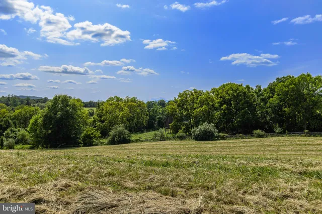 a view of a big yard with lots of green space
