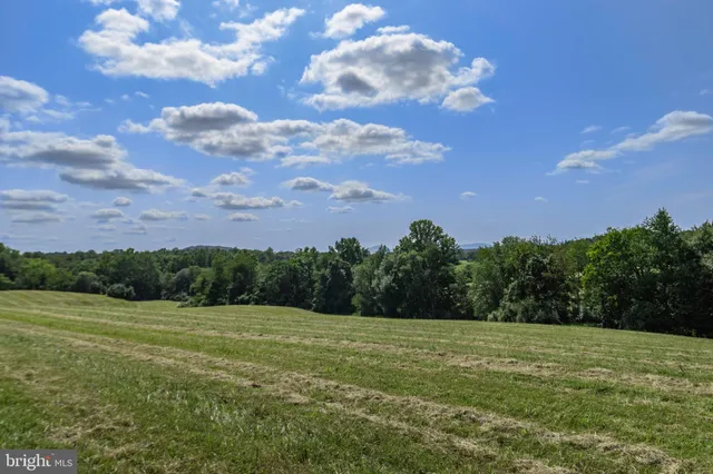 a view of a field with a yard
