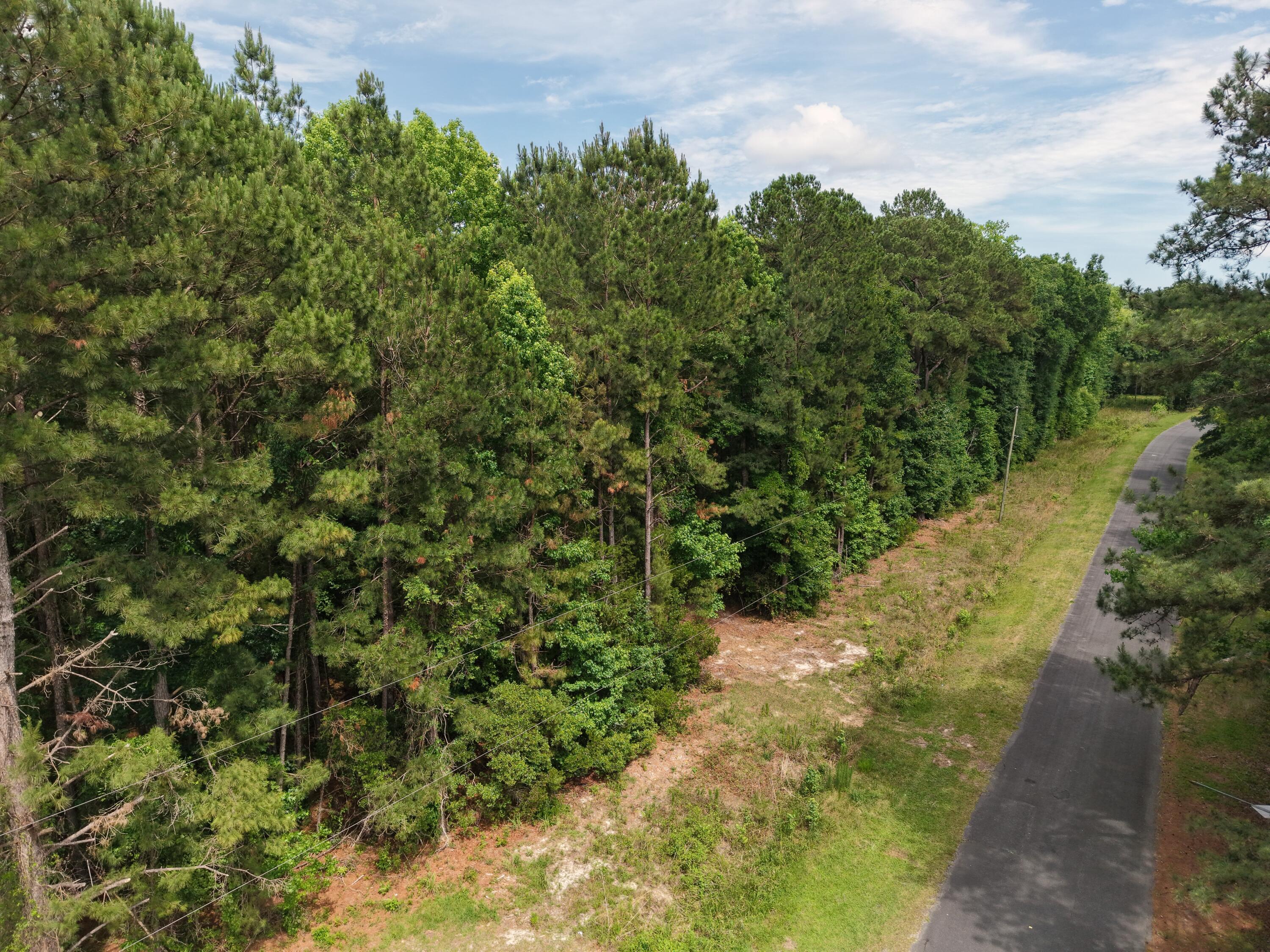 0 Hickory Hill Road Green Pond, SC 29446 - Photo 3 of 20 DJI_20260527153302_0170_D