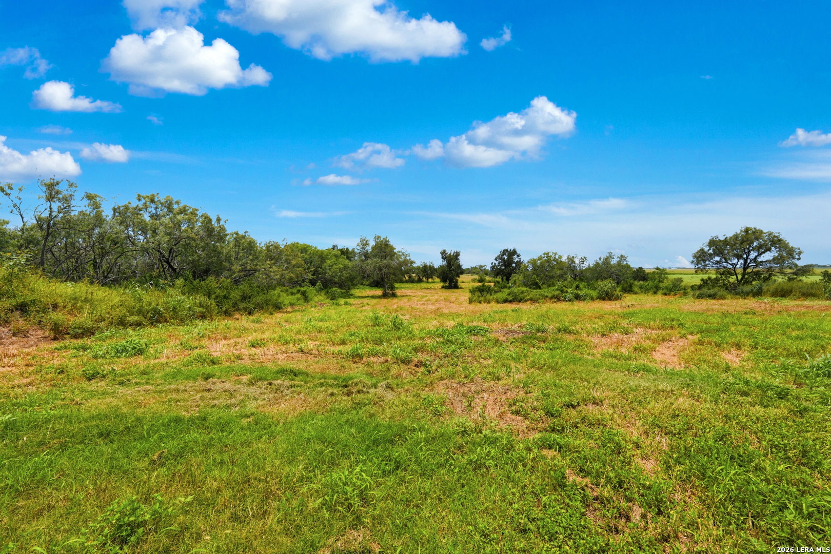 670 Nickerson Farms Road Seguin, TX 78155 - Photo 42 of 50