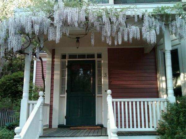 3 Forest Street Lexington, MA 02421 - Photo 1 of 11
