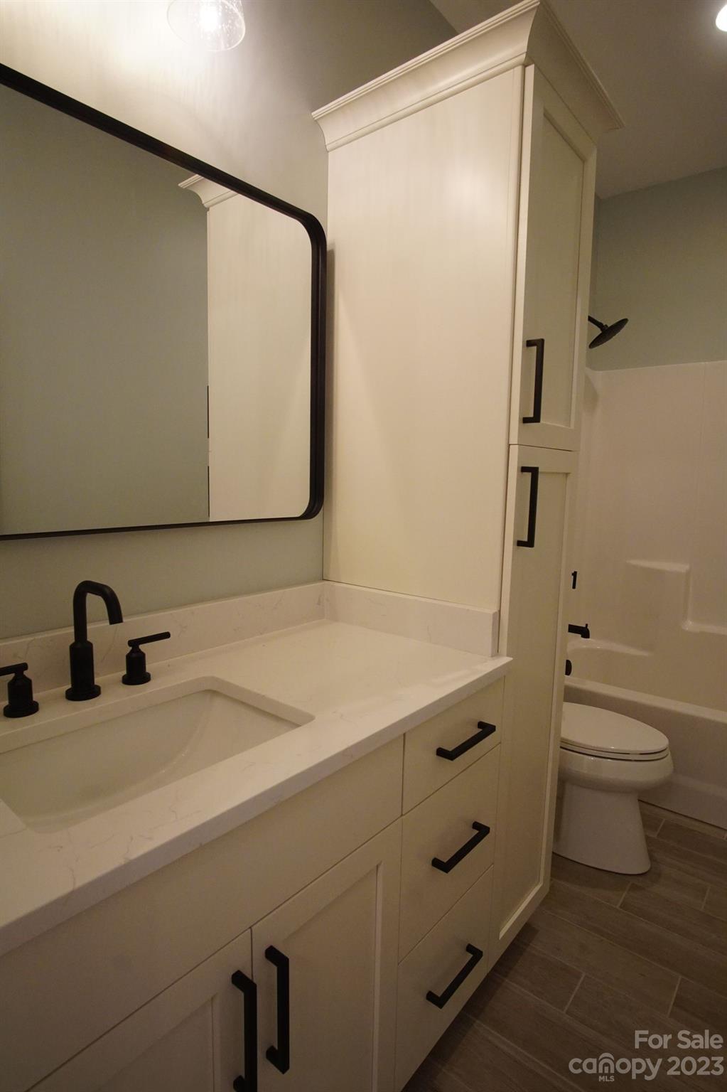 1495 Golf Course Road Columbus, NC 28722 - Photo 39 of 47 a bathroom with a sink a toilet and shower