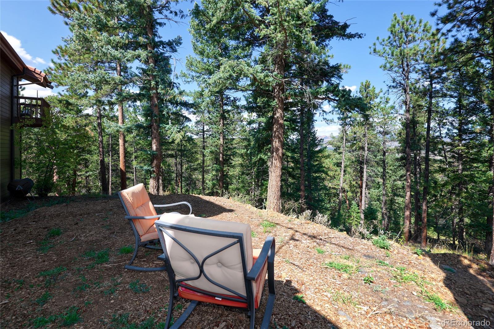30773 Ruby Ranch Road Evergreen, CO 80439 - Photo 46 of 50 Gallery Image 46