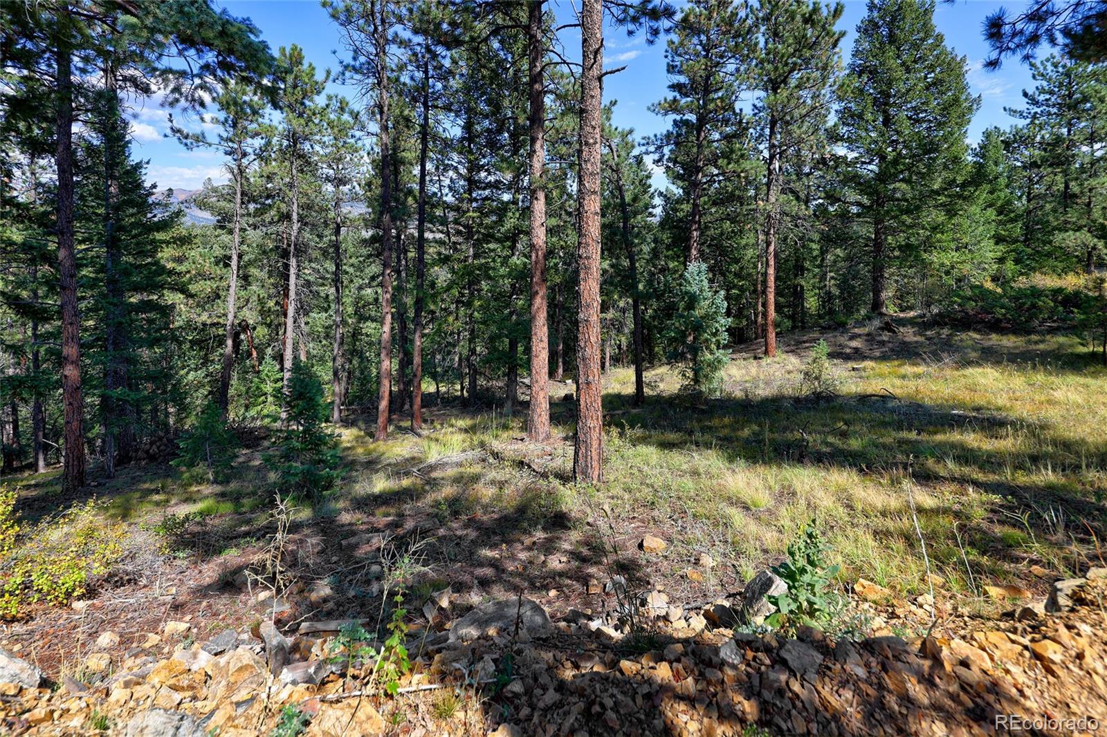 30773 Ruby Ranch Road Evergreen, CO 80439 - Photo 47 of 50 Gallery Image 47