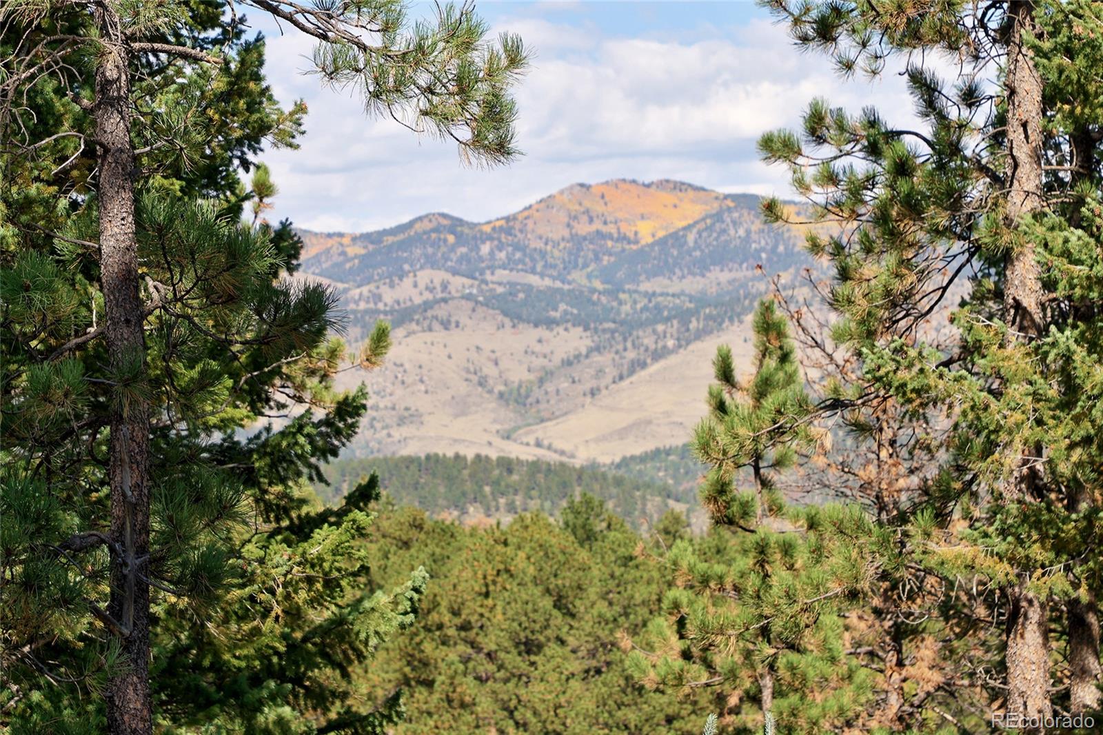 30773 Ruby Ranch Road Evergreen, CO 80439 - Photo 48 of 50 Gallery Image 48
