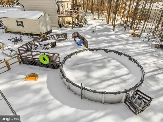 a view of white sky from a tree