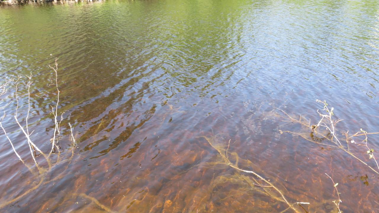 Lot On Townsite Road Presque Isle, WI 54557 - Photo 21 of 36 Gallery Image 21