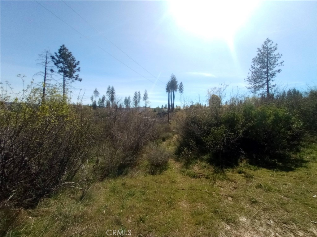 3515 Hoffman Road Oroville, CA 95965 - Photo 25 of 30