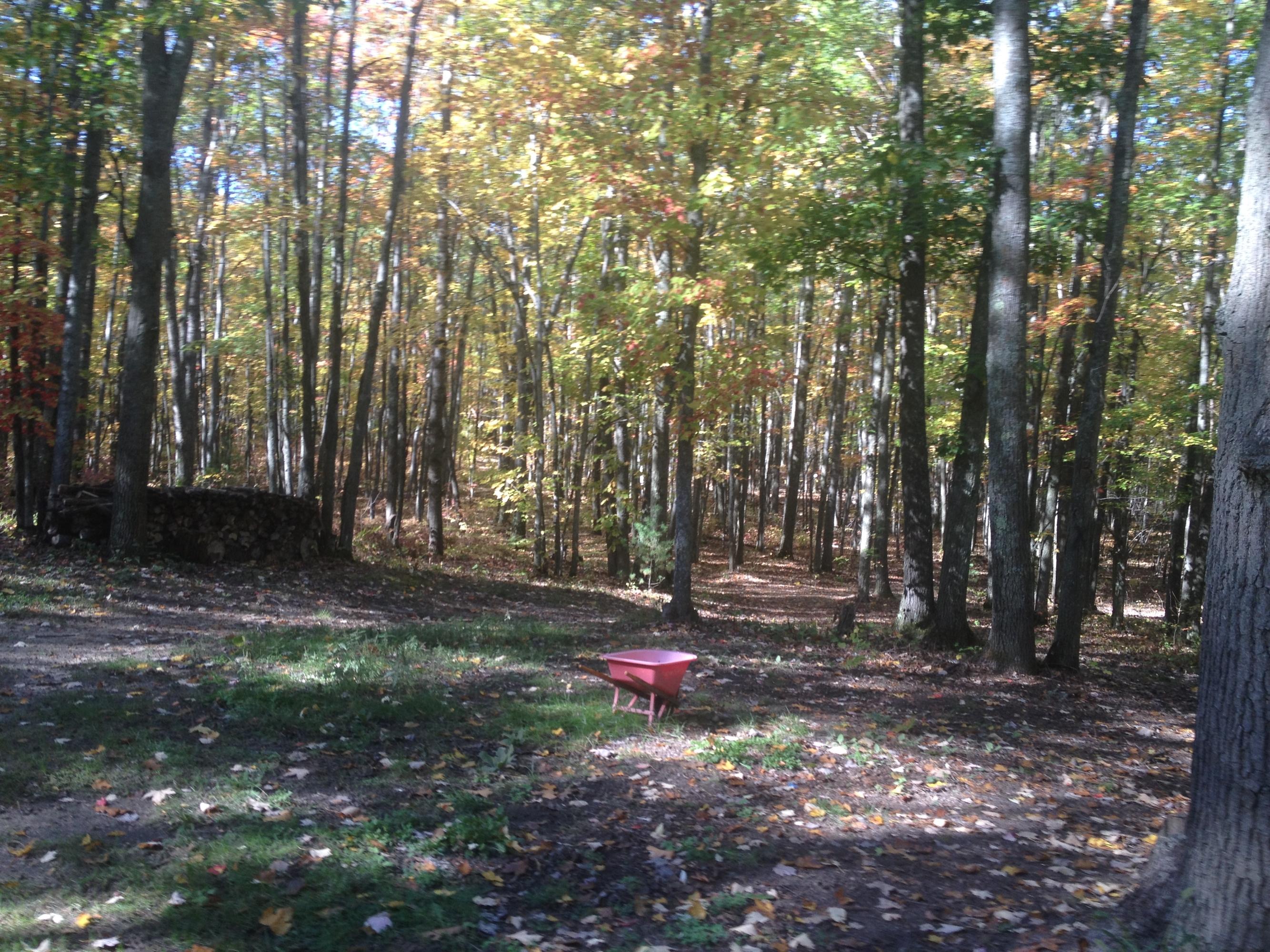 6970 Klein Road Hillman, MI 49746 - Photo 24 of 31 Gallery Image 24