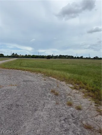a view of a big yard with lots of bushes and a large tree