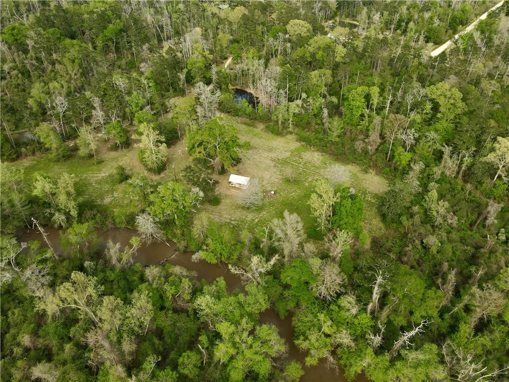 34310 Bluff Line Road Independence, LA 70443 - Photo 26 of 44 Gallery Image 26