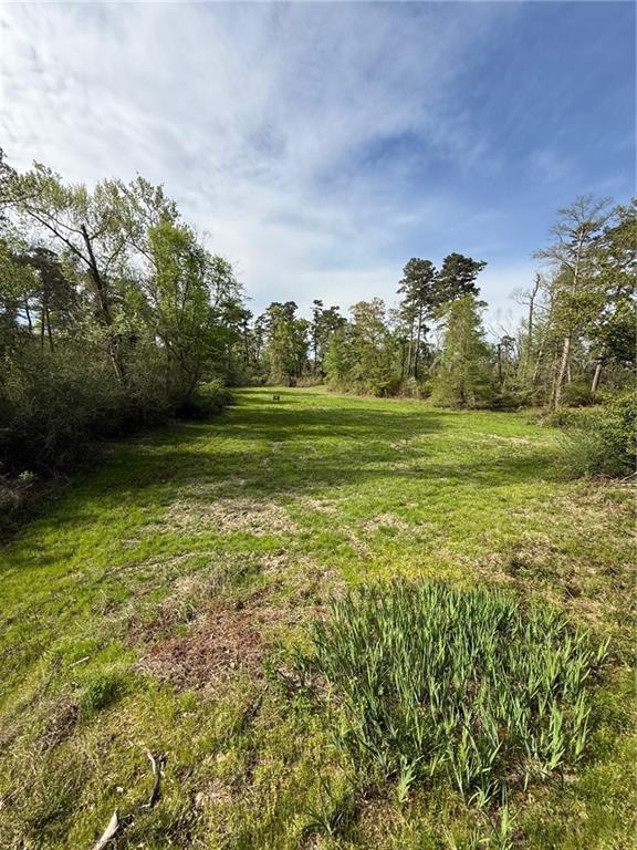 34310 Bluff Line Road Independence, LA 70443 - Photo 33 of 44 Gallery Image 33