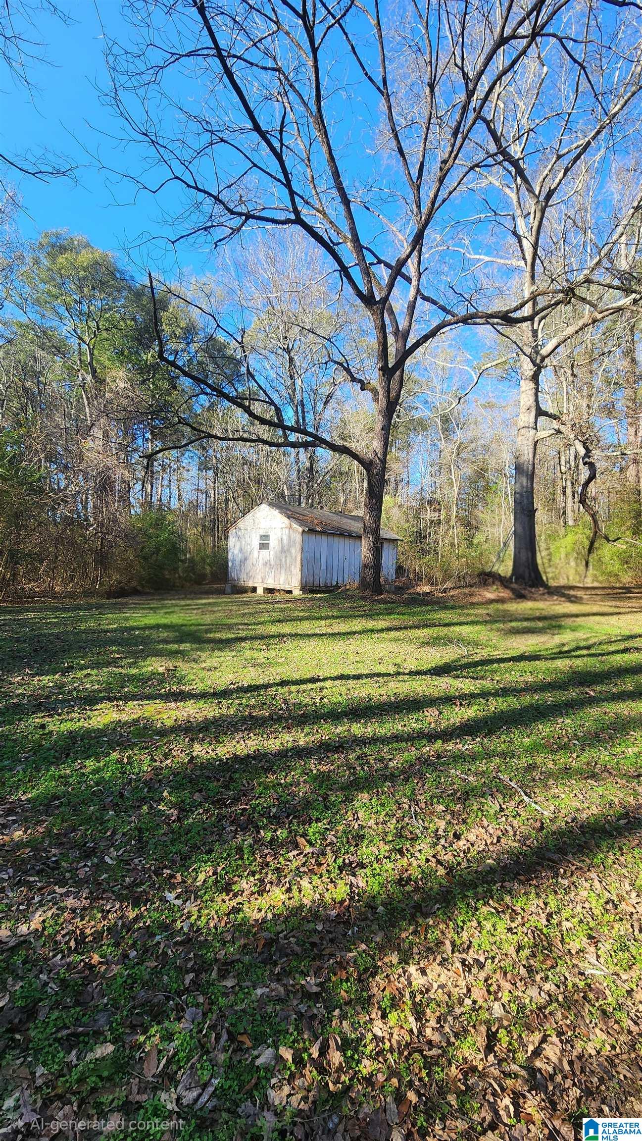 5834 Goode Road Mount Olive, AL 35117 - Photo 4 of 42