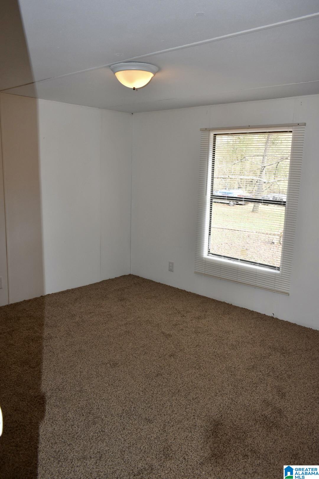 143 Dana Road Warrior, AL 35180 - Photo 8 of 12