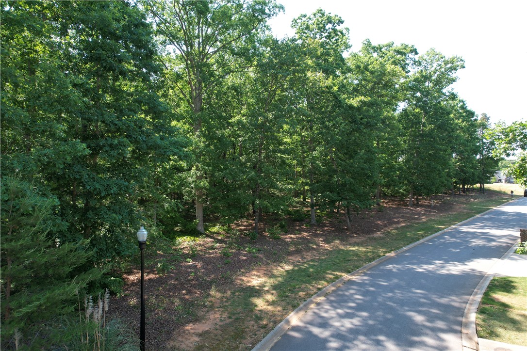 115 Constitution Avenue Pendleton, SC 29670 - Photo 1 of 17