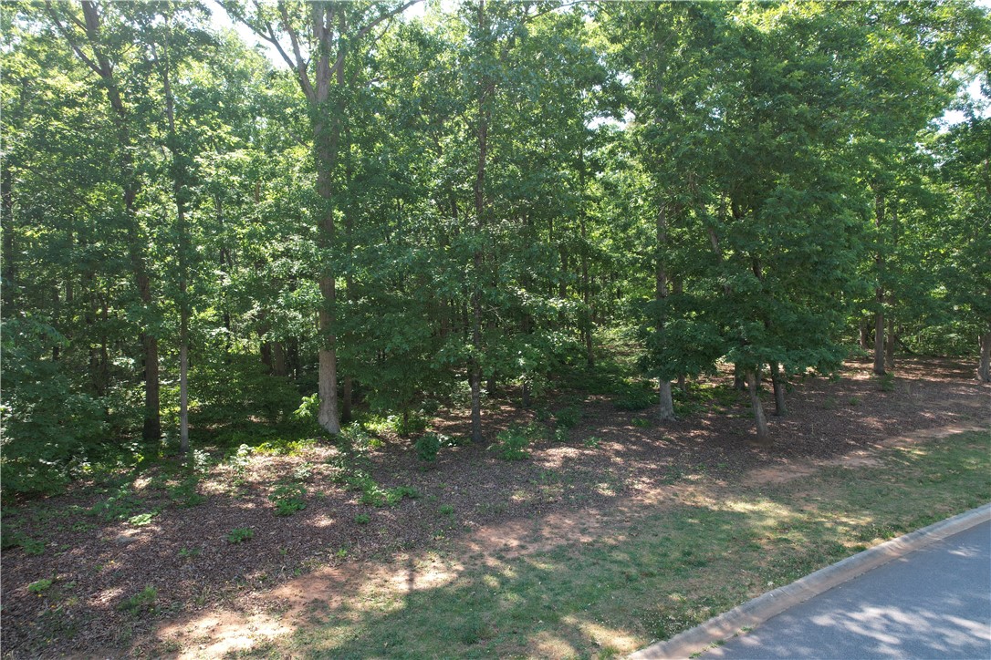 115 Constitution Avenue Pendleton, SC 29670 - Photo 12 of 17