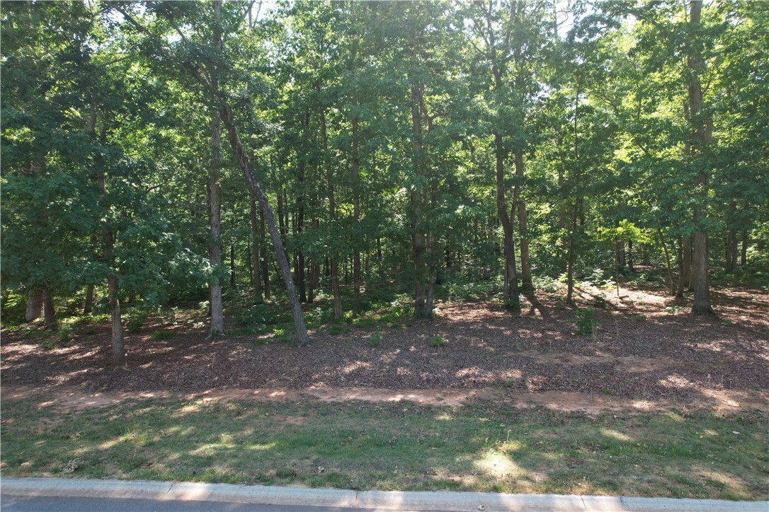 115 Constitution Avenue Pendleton, SC 29670 - Photo 13 of 17