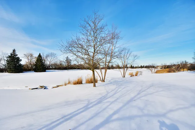 a view of outdoor space yard