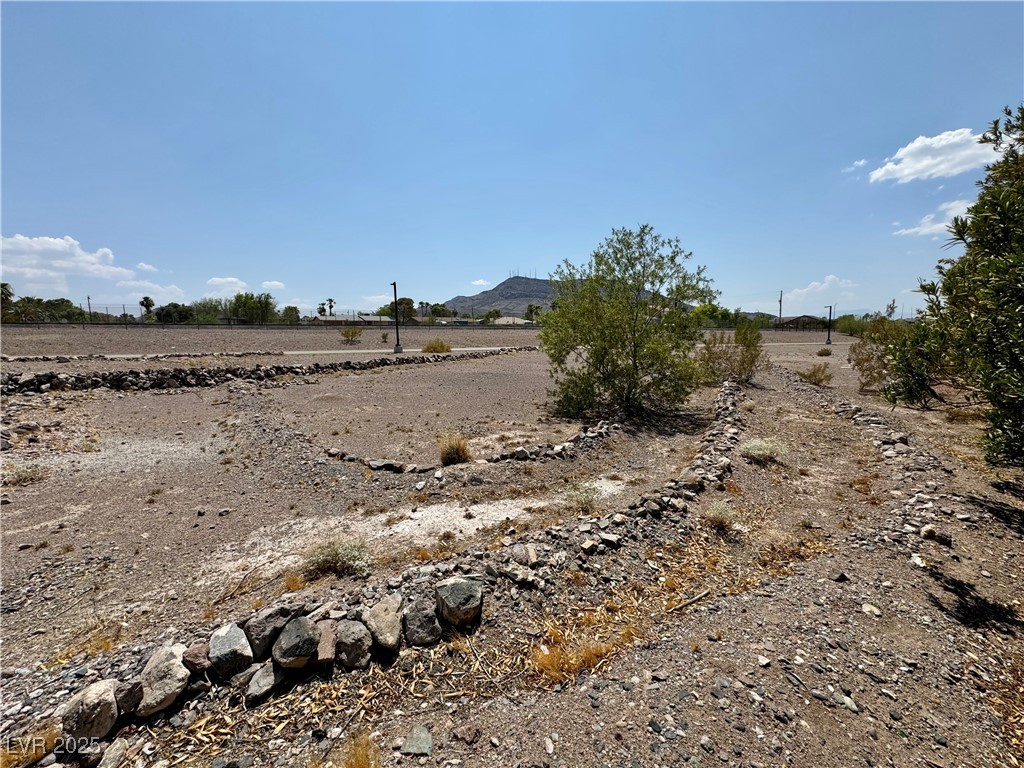 None Henderson, NV 89015 - Photo 8 of 11