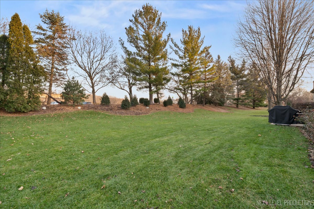 1521 Eagle Brook Drive Geneva, IL 60134 - Photo 39 of 41 a view of a field of grass and trees