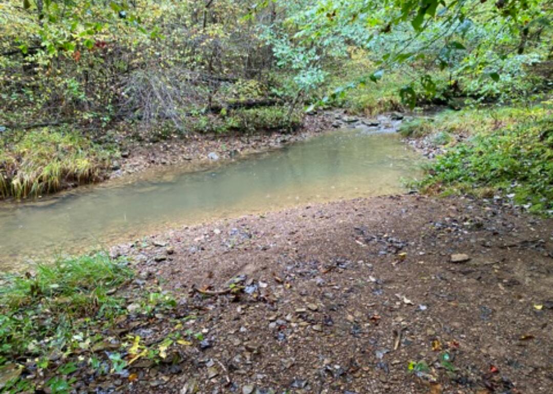 958 Low Gap Road McKee, KY 40447 - Photo 26 of 27 Screenshot_20220426-211711~3