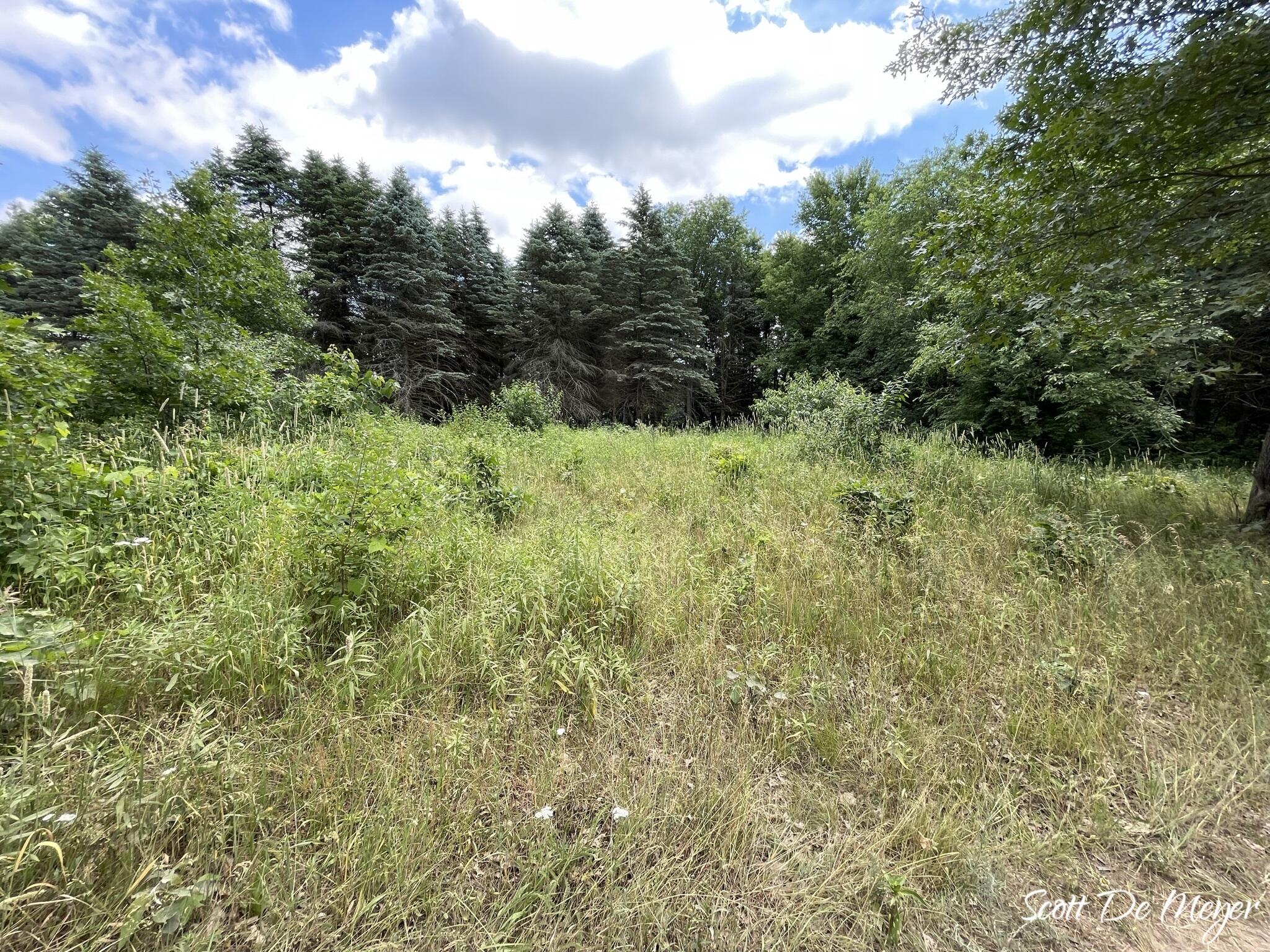 3147 Westbrook Road Ionia, MI 48846 - Photo 15 of 24 IMG_6935