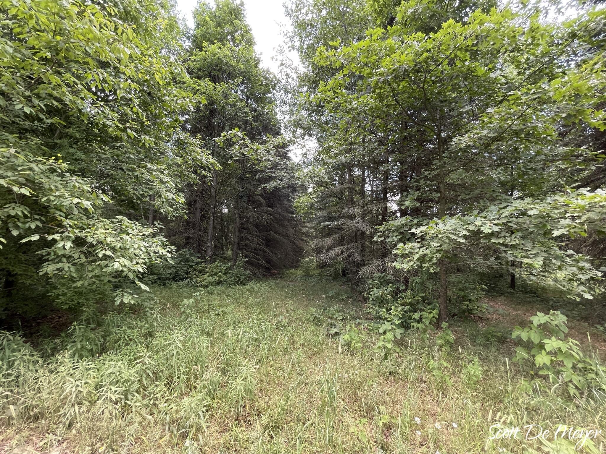 3147 Westbrook Road Ionia, MI 48846 - Photo 16 of 24 IMG_6936
