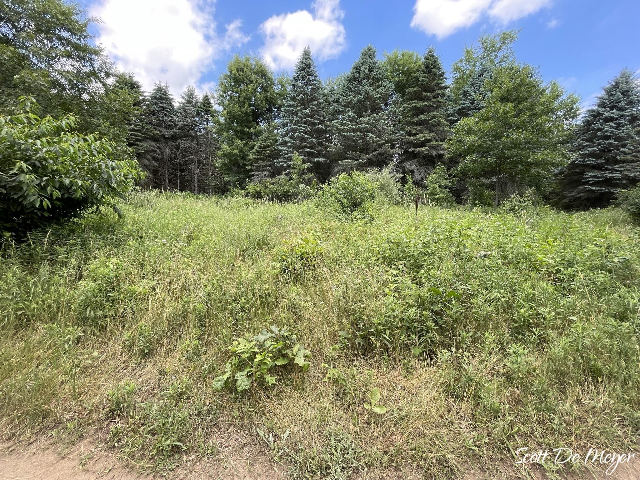 3147 Westbrook Road Ionia, MI 48846 - Photo 17 of 24 IMG_6937