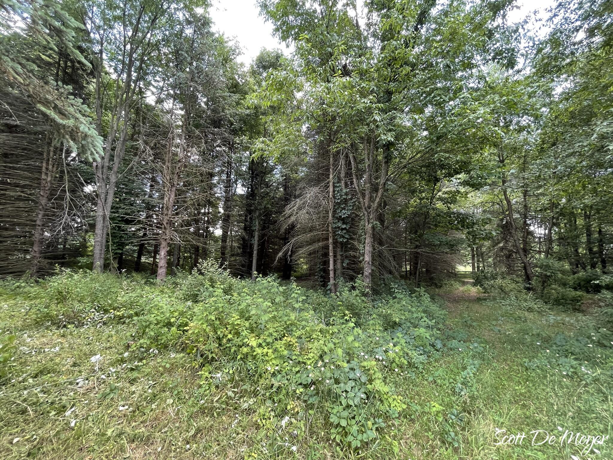 3147 Westbrook Road Ionia, MI 48846 - Photo 18 of 24 IMG_6938