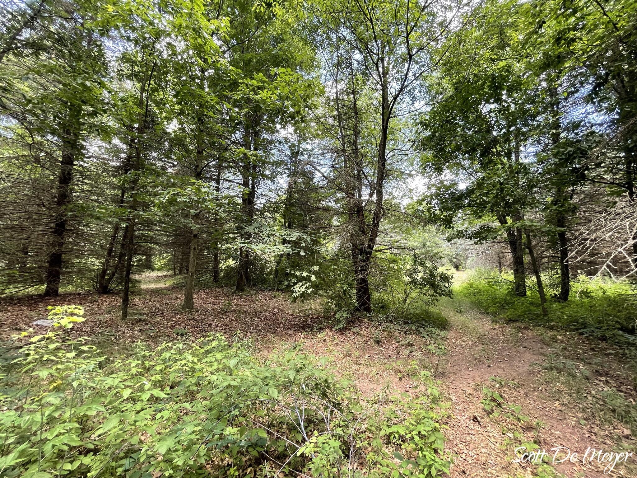 3147 Westbrook Road Ionia, MI 48846 - Photo 20 of 24 IMG_6940