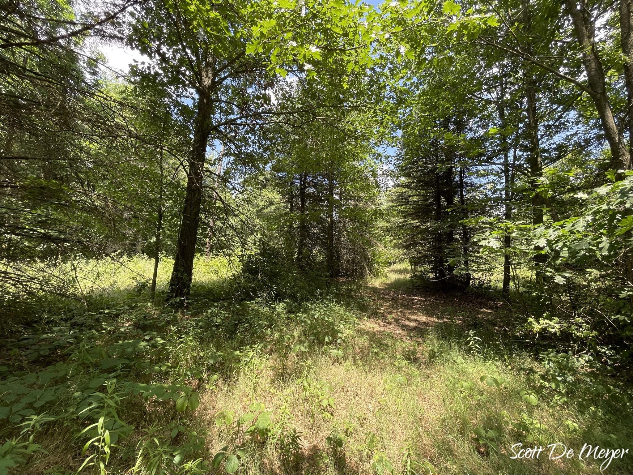 3147 Westbrook Road Ionia, MI 48846 - Photo 21 of 24 IMG_6941