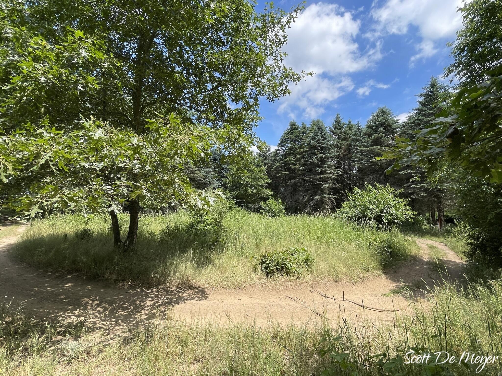 3147 Westbrook Road Ionia, MI 48846 - Photo 22 of 24 IMG_6944