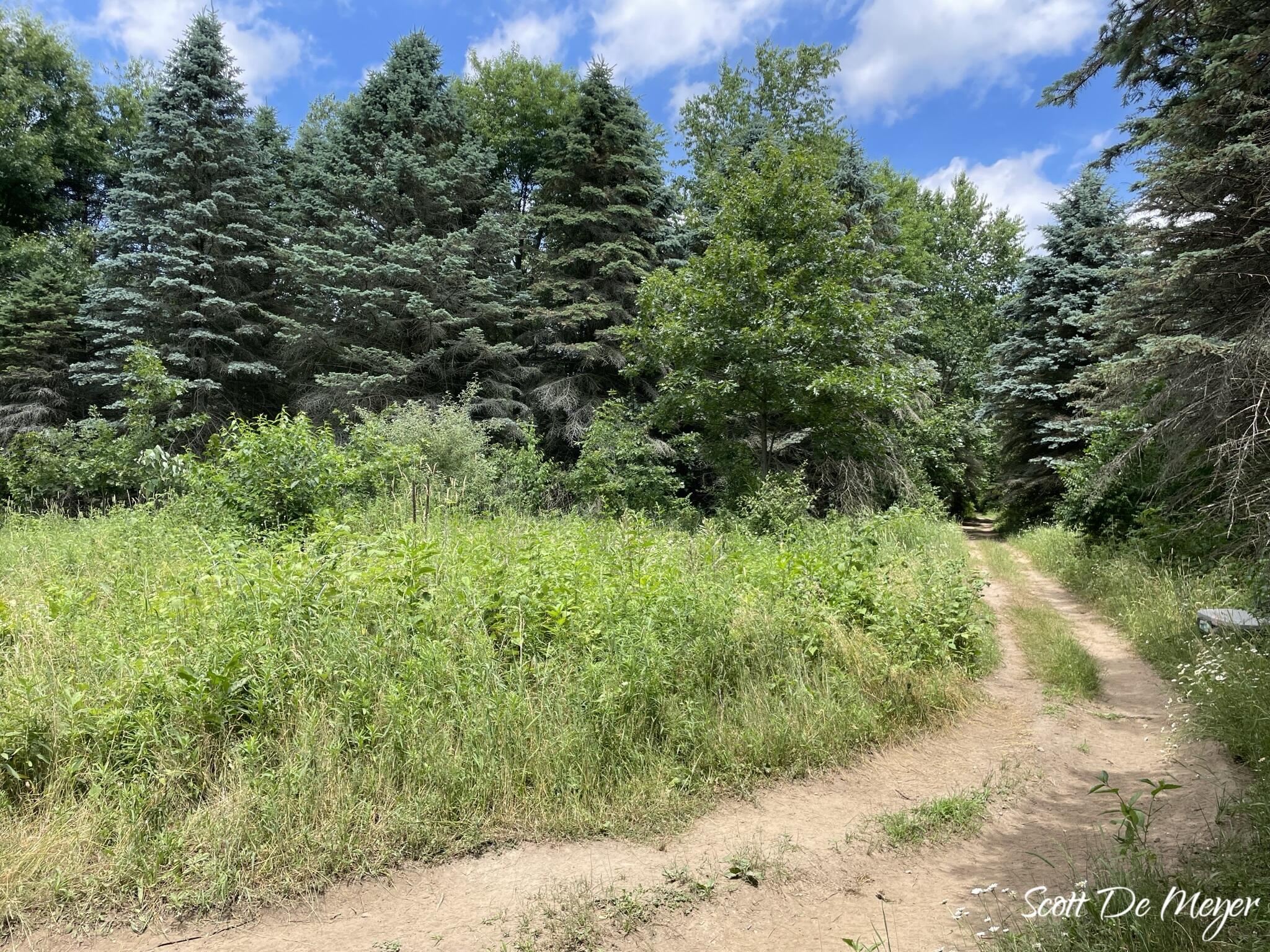 3147 Westbrook Road Ionia, MI 48846 - Photo 6 of 24 IMG_6925