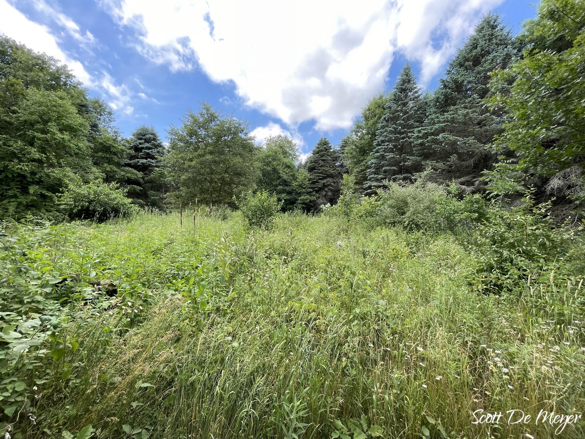 3147 Westbrook Road Ionia, MI 48846 - Photo 9 of 24 IMG_6928