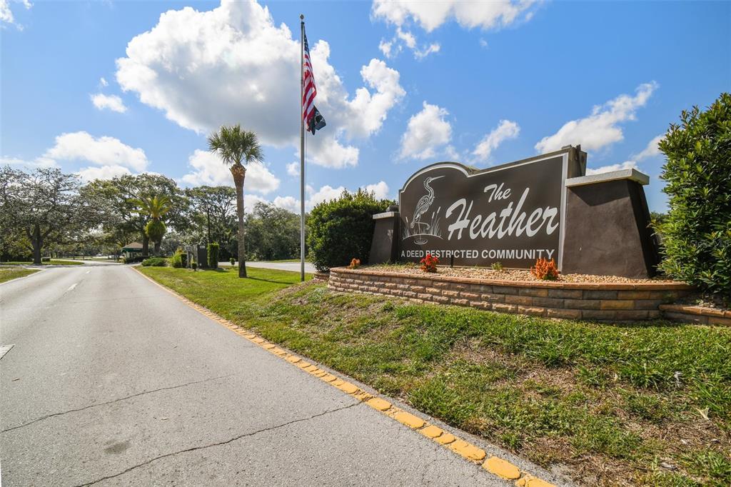 8976 Hernando Way Weeki Wachee, FL 34613 - Photo 82 of 82 Gallery Image 82