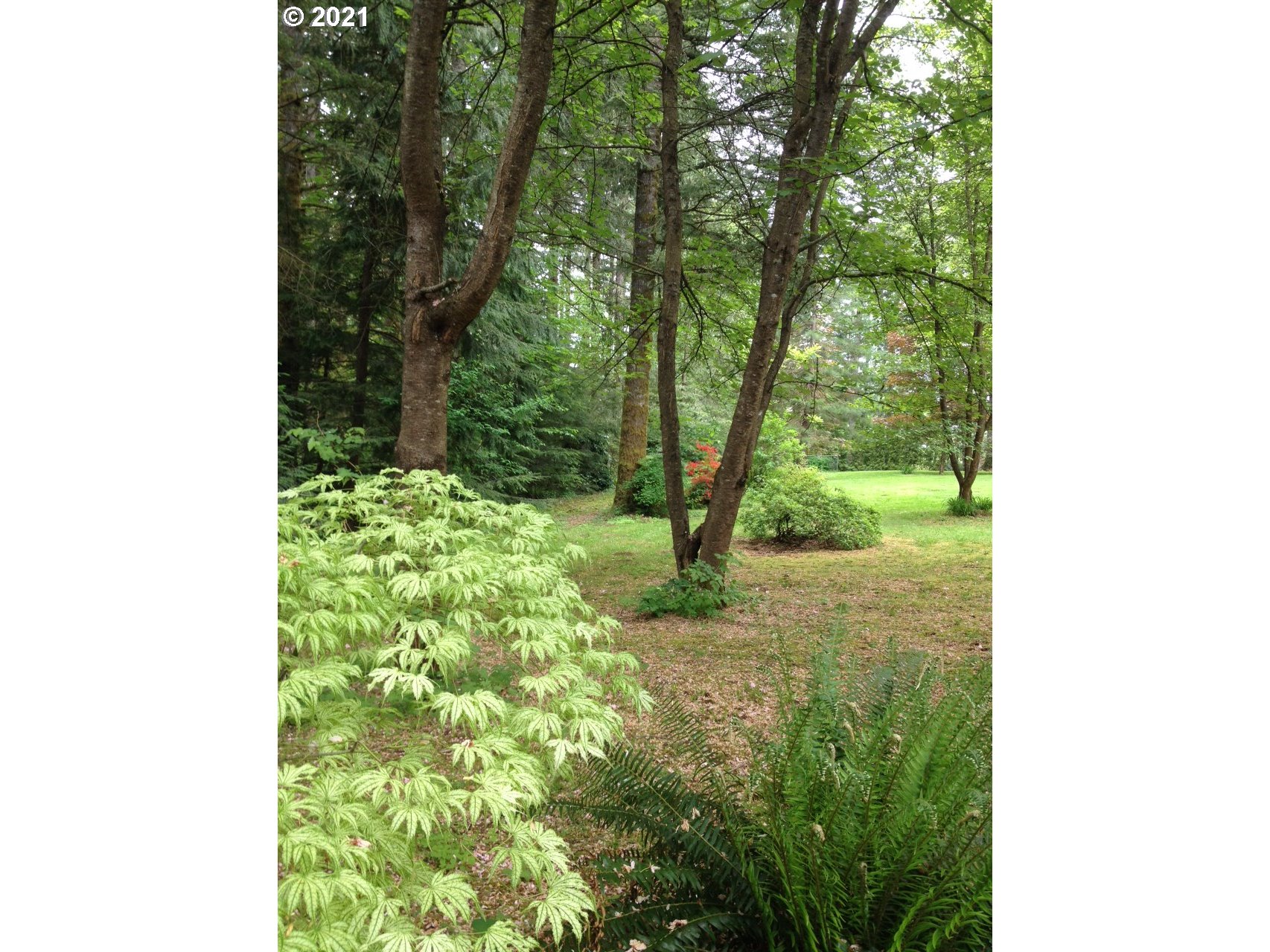 201 Panda Road Washougal, WA 98671 - Photo 24 of 26