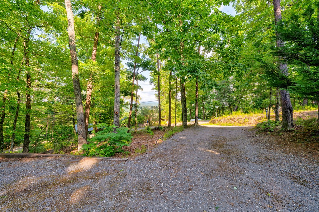 584 Laurel Ridge Drive Blue Ridge, GA 30513 - Photo 46 of 49 Gallery Image 46