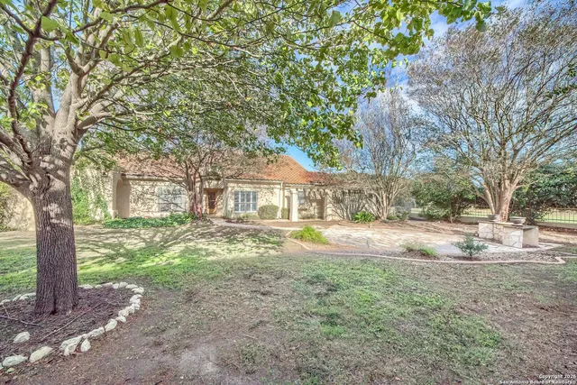 a view of a yard with plants and trees
